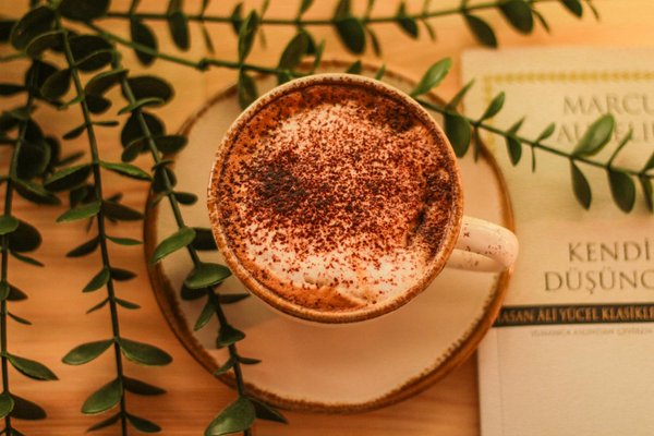 L'Impact des Stars sur l'Évolution du Streetwear : Analyse et Tendances